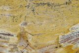 Strelley Pool Stromatolite Slab - Billion Years Old #130634-1
